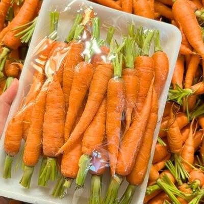 Hình minh họa cà rốt